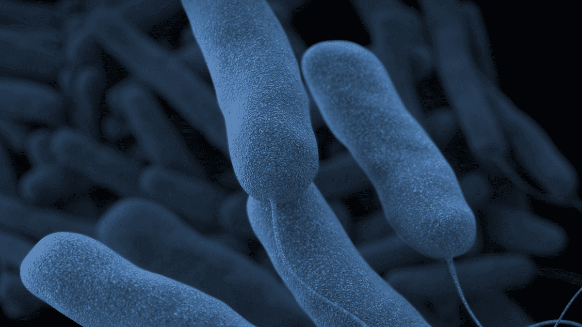 Legionella upptäckt på sjukhus – säkerhetsåtgärder vidtagna