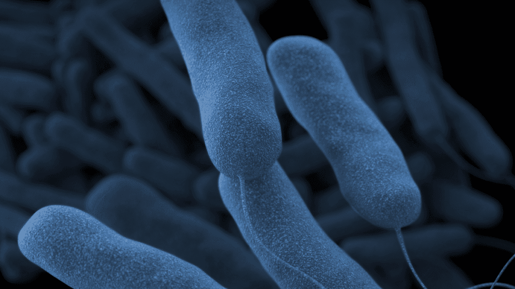 Så sprids Legionella | Legionella
